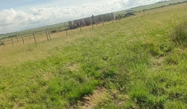 50x100 fenced vacant plot for sale in Joska Shujaa Gardens along Kangundo Road, near Sunshine and St. Monica schools, in a growing residential area.